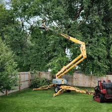 Best Tree Removal  in Orchard Grass Hills, KY