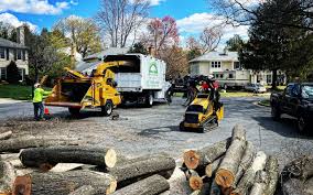 Best Utility Line Clearance  in Orchard Grass Hills, KY