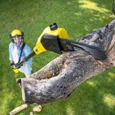Best Landscape Design and Installation  in Orchard Grass Hills, KY
