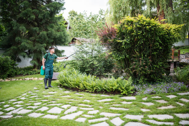 Best Tree Health Inspection  in Orchard Grass Hills, KY