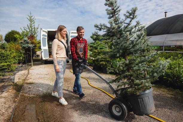 Best Seasonal Cleanup (Spring/Fall)  in Orchard Grass Hills, KY